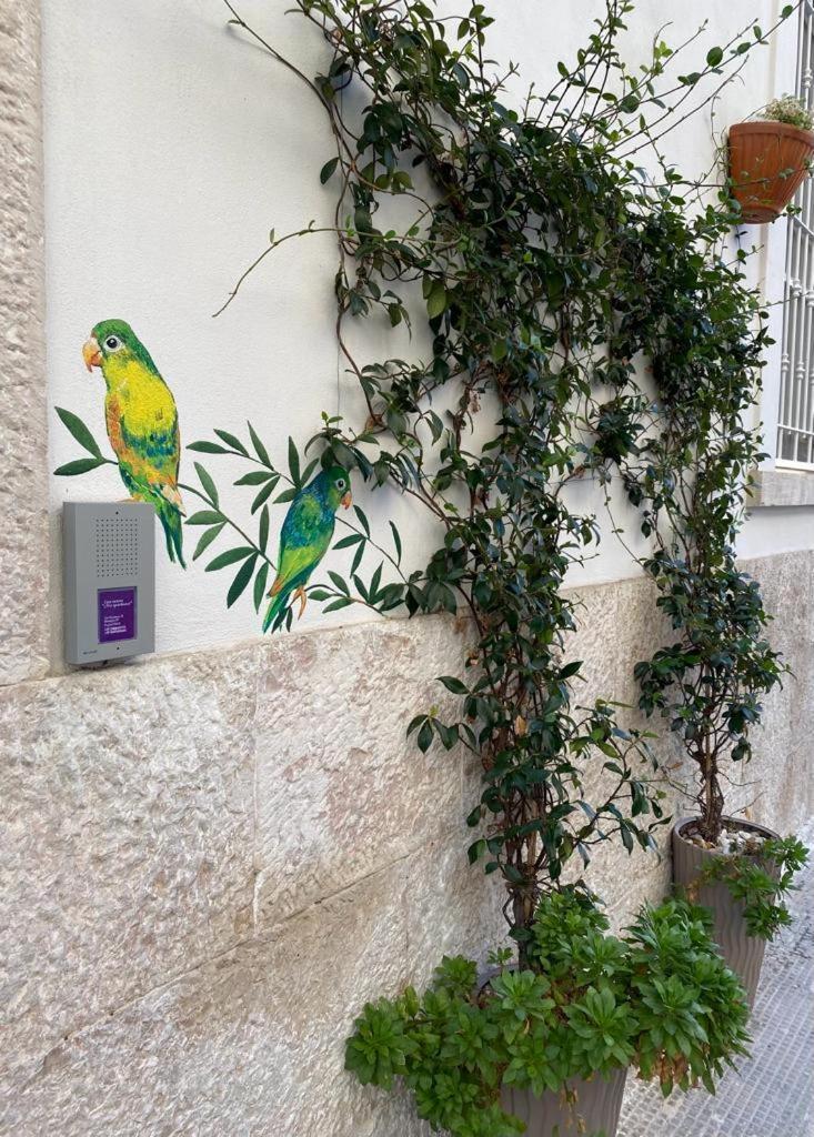 Iris Apartment Bisceglie Exterior photo